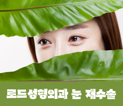 [화곡동성형외과 로드성형외과에서 알려드리는 눈재수술 정보 ♬] 관련 이미지 1