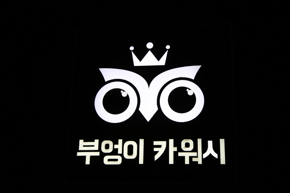 미니 JCW 그리고 부엉이 카워시 관련 이미지 2