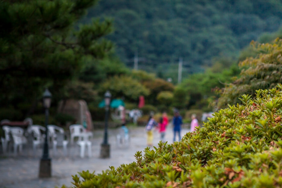 닥터돈까스 일상(Straße+오시정+리튠 아쿠아 오메가3) 관련 이미지 17
