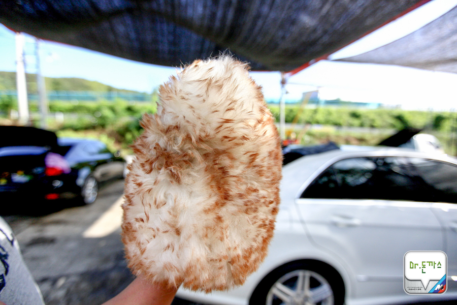 초보자를 위한 셀프 세차 방법 소개! BMW 휠 분진 해결 노하우! (왁스바르는법+유막제거하는법) 관련 이미지 16