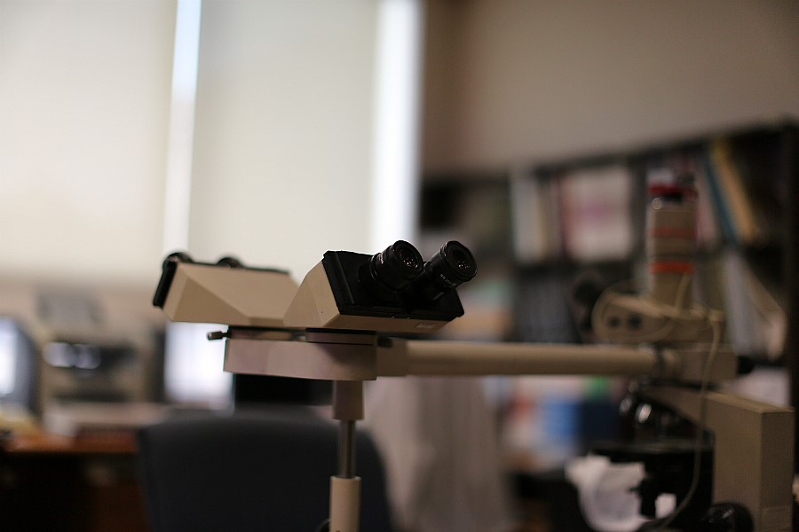 오이만두: 캐논( Canon EF 50mm f/1.2L USM)  렌즈 사용기... 관련 이미지 10