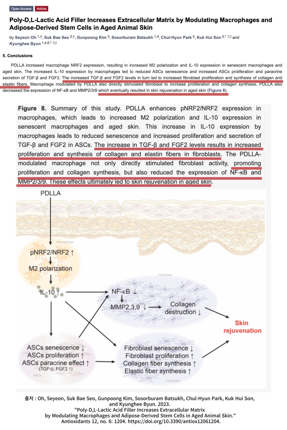 쥬베룩 효과 제대로 보기 위해선 1가지만 기억하세요. 관련 이미지 3