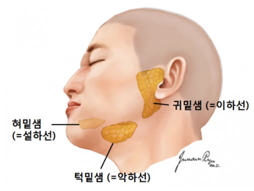 윤곽주사 효과 없는 분들 문제는 바로 이것? | 피부과전문의 오가나 관련 이미지 8