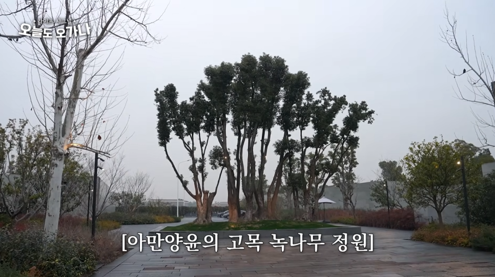 상위 1% 재벌들의 리조트 다녀왔습니다(feat. 아만양윤) 관련 이미지 15