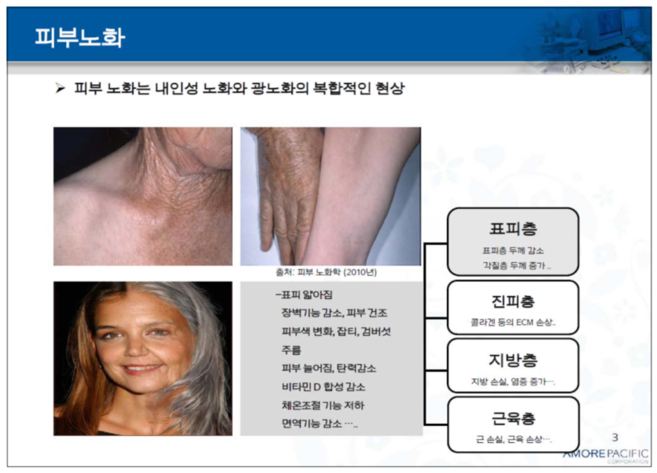 피부장벽 무너짐 원인과 크림 성분 3가지 추천 - 논문발췌 관련 이미지 3