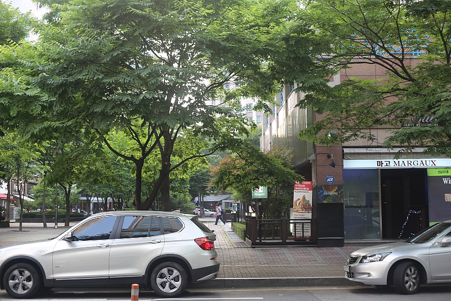 Canon 5D Mark 3 개봉기(오두막 + 오두막삼 + 캐논 5D Mark iii) + 분당 재규어, 랜드로버 매장 방문기 + 미러리스 최강자 소니 Nex-5n 구입기 관련 이미지 66