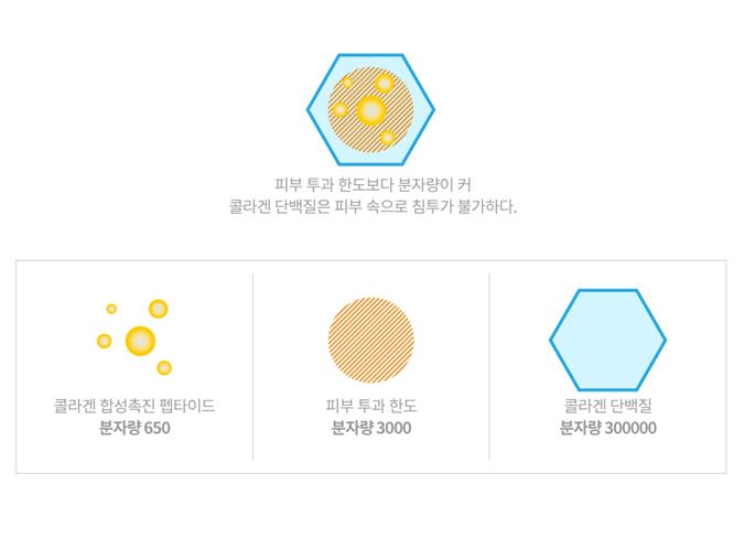 [동안프로젝트] 시간을 돌리는 화장품 / 펩타이드에 대한 상식 / 효과좋은 주름 개선 화장품 / 재생크림 /오나가셀 관련 이미지 7