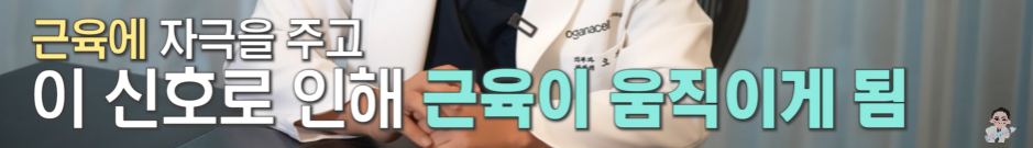 보톡스 내성 생기면 어쩌죠? 20년간 맞은 결과와 효과 관련 이미지 5