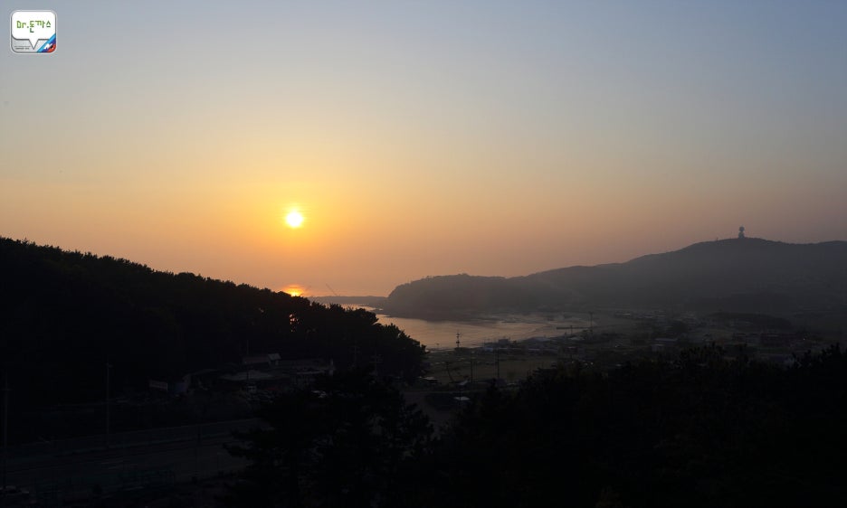 무더위로 블로그 재충전중. (진남포면옥+하얏트 호텔 빙수+카페오라) 관련 이미지 31