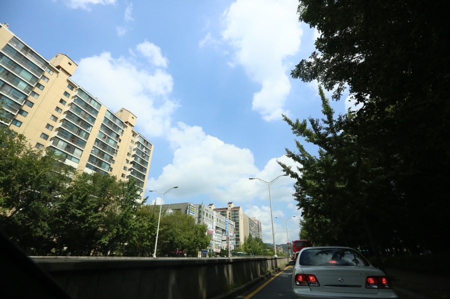 초보자를 위한 셀프 세차 방법 소개! BMW 휠 분진 해결 노하우! (왁스바르는법+유막제거하는법) 관련 이미지 86
