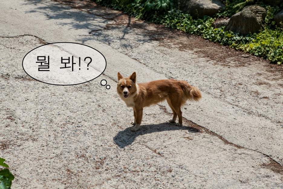 주말 이야기 관련 이미지 11