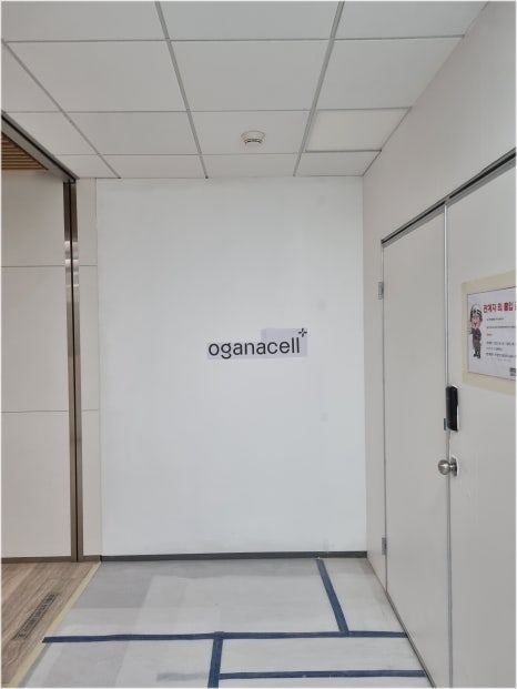 잠실피부과유명한곳 오가나셀 시그니엘 3호점 오픈준비중 관련 이미지 7