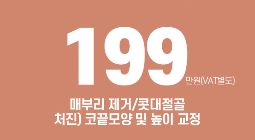 앤플러스에서 알려드리는 성형외과 가을 코수술 이벤트&hearts; 관련 이미지 5