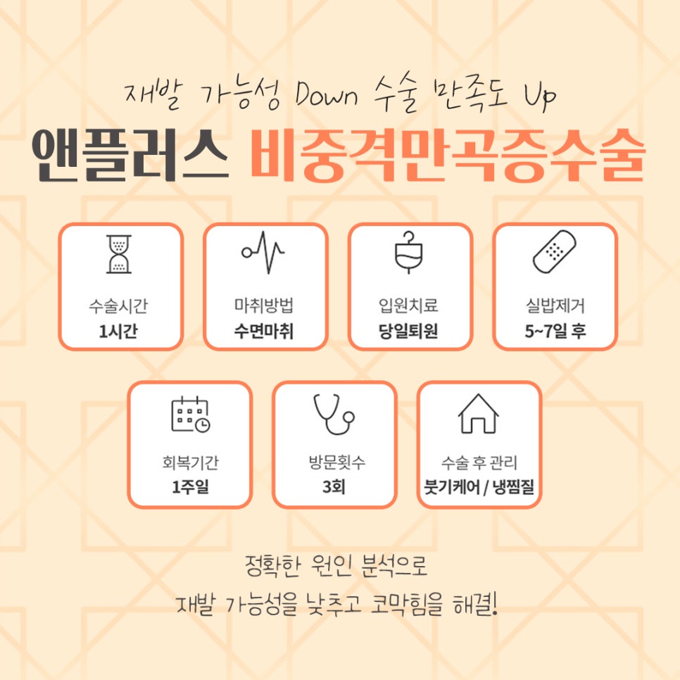 비중격만곡증수술후기 코 내부를 정확하게 파악해야 관련 이미지 3