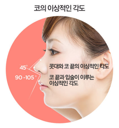 코재수술 1:1맞춤수술법 파헤치기 관련 이미지 4