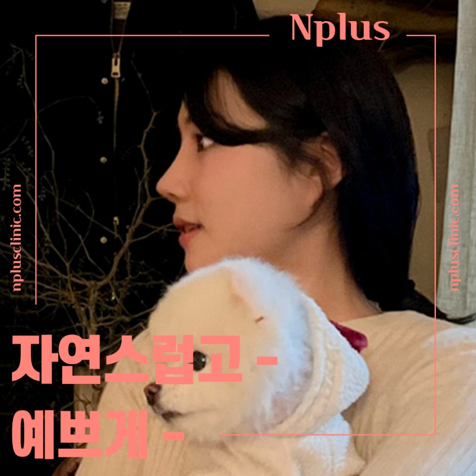 기능코성형후기 다양한 정보를 알아보고 관련 이미지 13