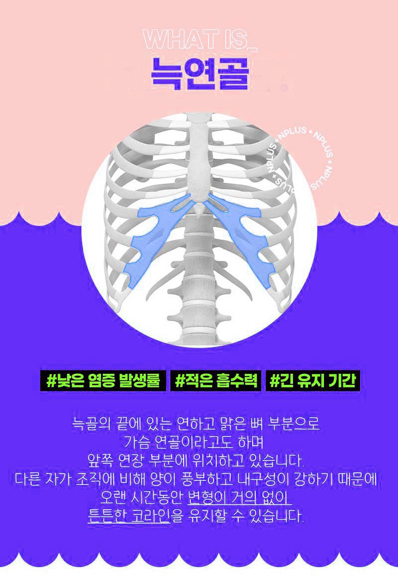 자가늑연골코성형비용에 대해 알아본다면?! 관련 이미지 3