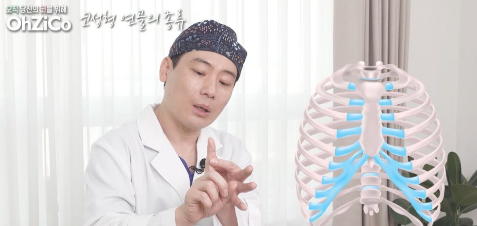 코성형 재료 연골의 종류와 특징! 관련 이미지 10