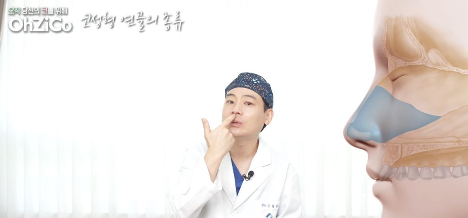 코성형 재료 연골의 종류와 특징! 관련 이미지 6