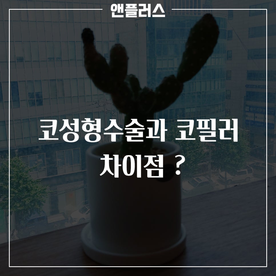 코성형수술과 코필러에 대한 차이점과 장단점 관련 이미지 2