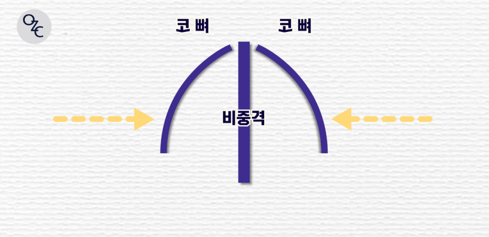 코성형 후에도 매부리재발이 될 수 있나요? 관련 이미지 9
