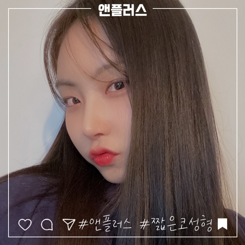 짧은코수술에 대한 정보를 찾는다면 관련 이미지 2