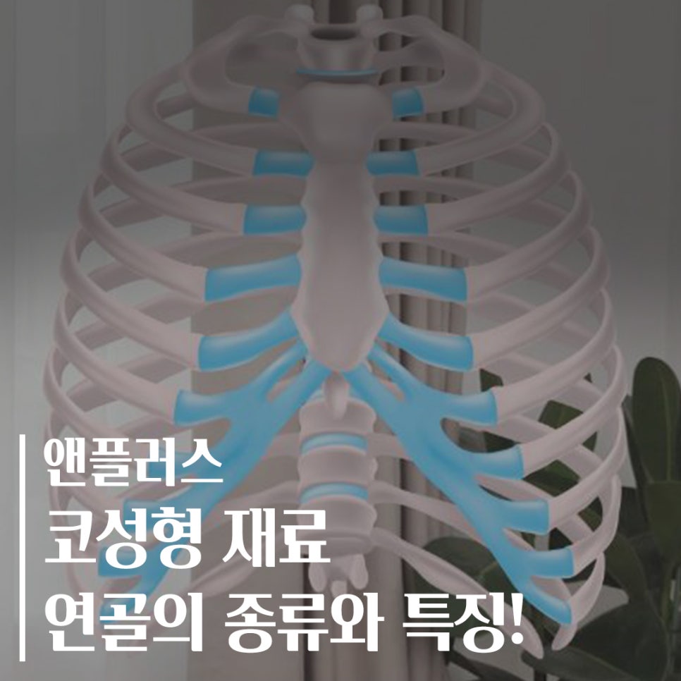 코성형 재료 연골의 종류와 특징! 관련 이미지 1