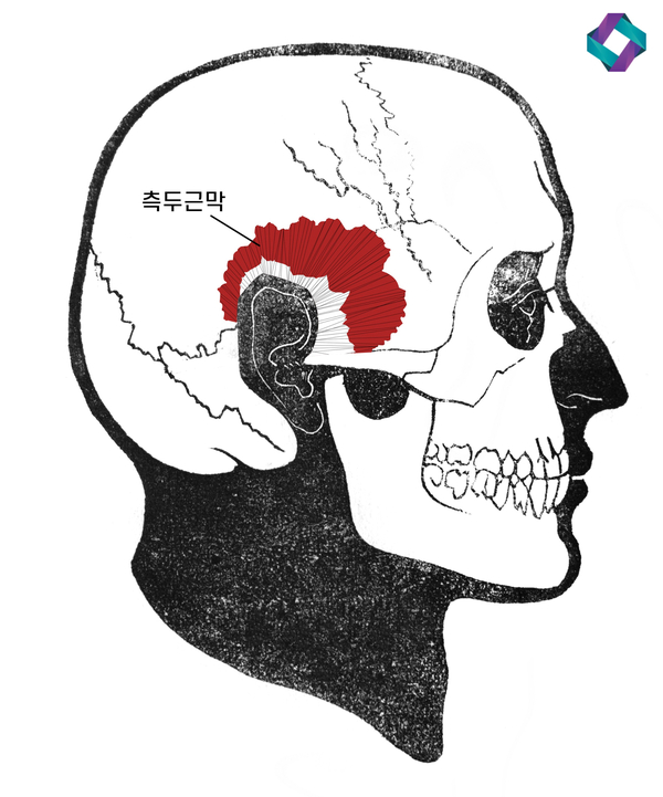 늑연골 코성형 : 자가연골의 장점과 단점 (자가연골 비교) 관련 이미지 11