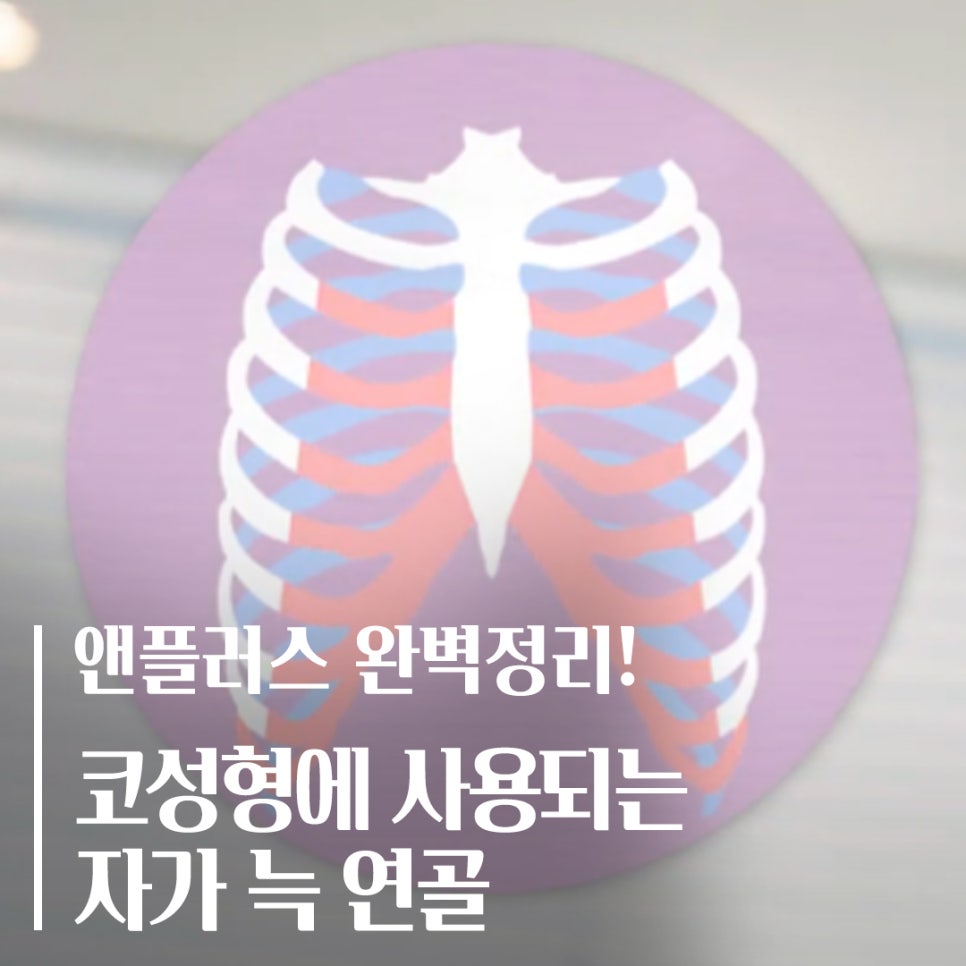 A Complete Guide to Autologous Rib Cartilage Used in Rhinoplasty! image 1