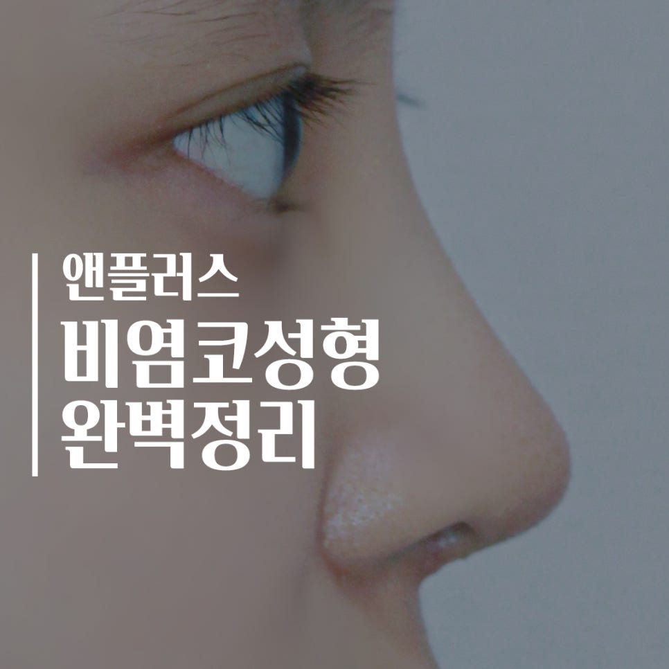 비염코성형에 대한 모든 것 완벽 정리 관련 이미지 1