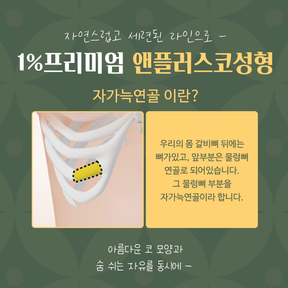자가늑연골코수술 기능까지 생각해서 관련 이미지 5