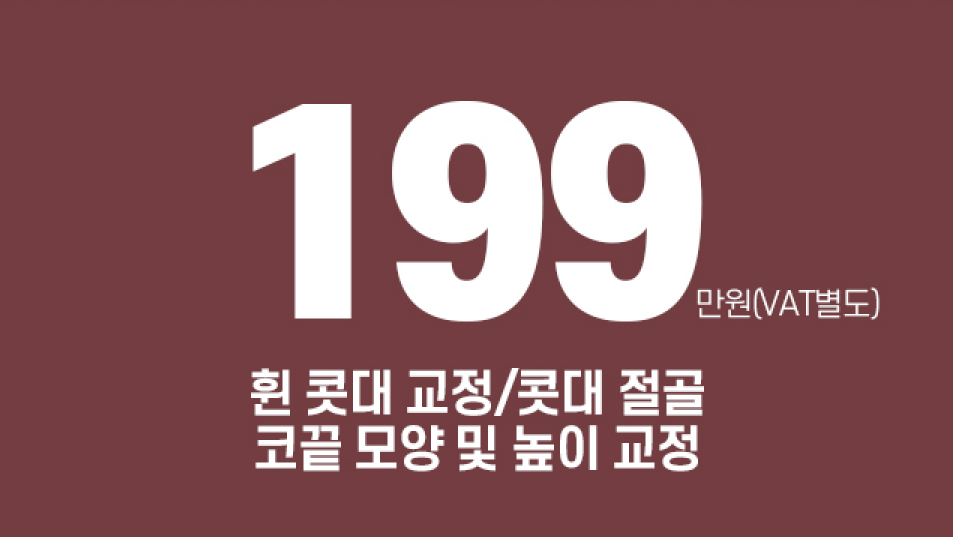 🍁가을엔 앤플러스의원 코성형 이벤트🍁 관련 이미지 7