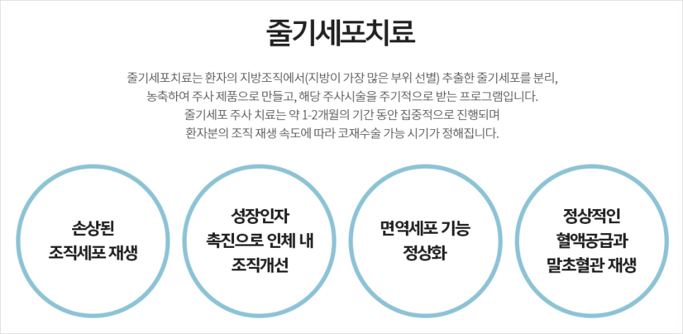 코재건 수술할때 꼭 알아두어야 할 상식! 관련 이미지 11