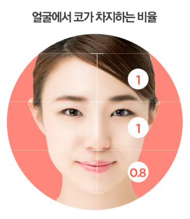 코재수술 1:1맞춤수술법 파헤치기 관련 이미지 3