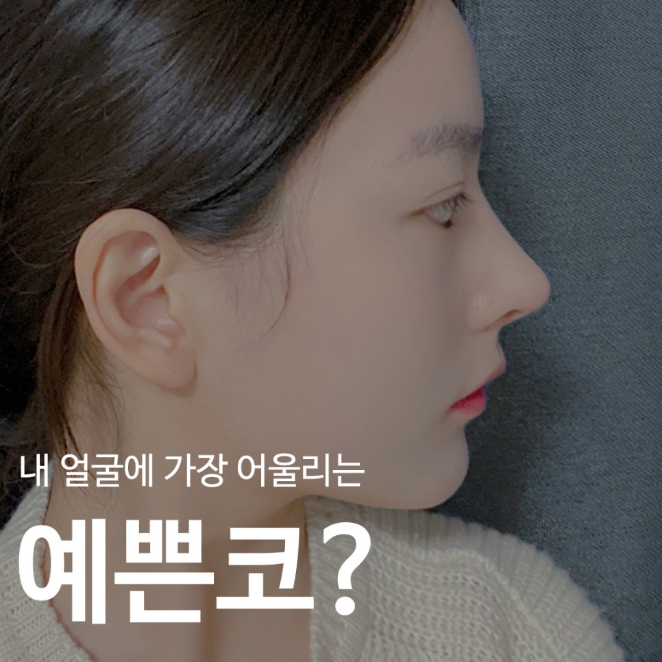 What Is the Prettiest Nose That Suits My Face Best? image 1