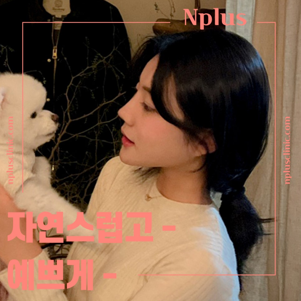 기능코성형후기 다양한 정보를 알아보고 관련 이미지 1