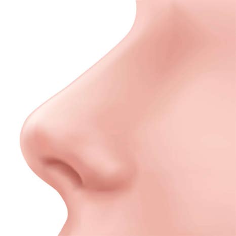 합정 콧대필러, 코끝까지 자연스럽게 받아보세요. 관련 이미지 3