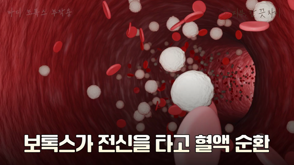 홍대보톡스, 관련 이미지 8