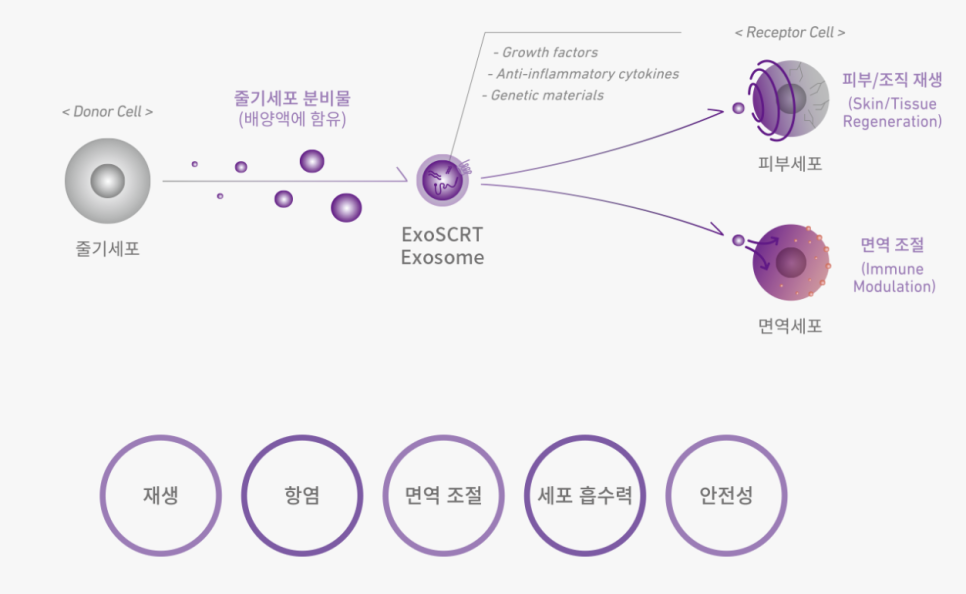 합정 스킨부스터 종류 꼼꼼하게 비교해 드립니다 관련 이미지 4