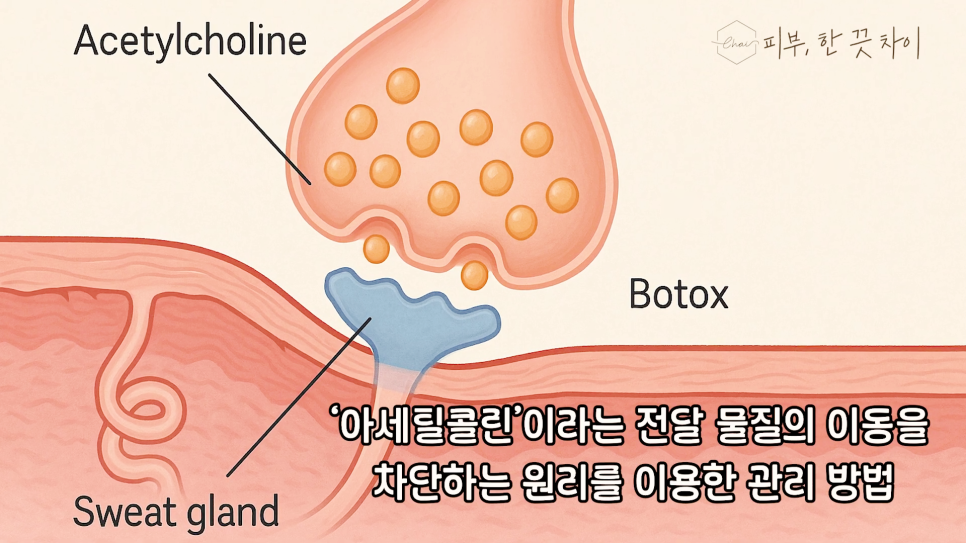 홍대 스킨보톡스 휴가철 자외선 손상 후 피부 탄력 관리 관련 이미지 3