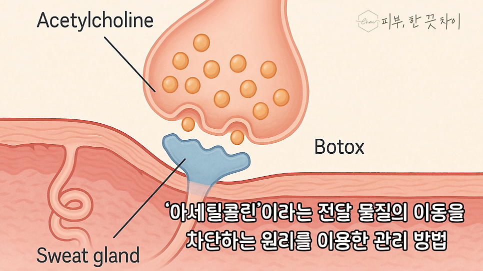 Hapjeong Skin Botox: If You’re in Your 30s and Somehow Feel Uneasy image 5