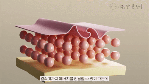 홍대 피부관리 8월 무더위엔 세르프 리프팅인 이유 관련 이미지 9