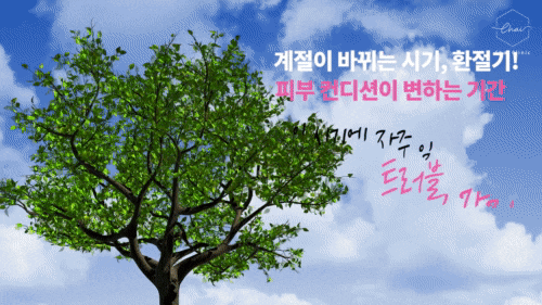 Hongdae Lalafil for Seasonal Rough Skin Care image 5