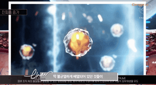 코레지 셀핏 환한 안색과 탄력있는 피부 찾아드립니다 관련 이미지 8