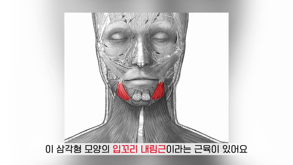 홍대입술필러, 필러 시술시 알아둬야 할 규칙? 관련 이미지 10