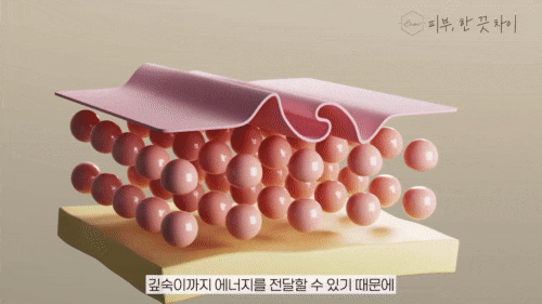If You're 고민ing About Skin Care in Hongdae, Start with Thermage FLX image 10