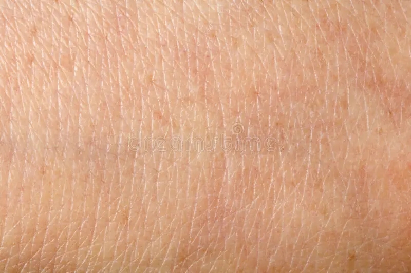 잠실역, 개원 22년 차 피부과 의사 의 일상.   부제 : 라 레오나 ,  복각으로 소유한 아름다움 관련 이미지 19