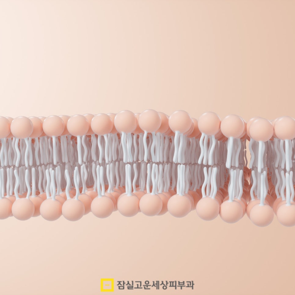 세안 후 당김이 심하다면, 단순 건조가 아닐 수도 있습니다 관련 이미지 6