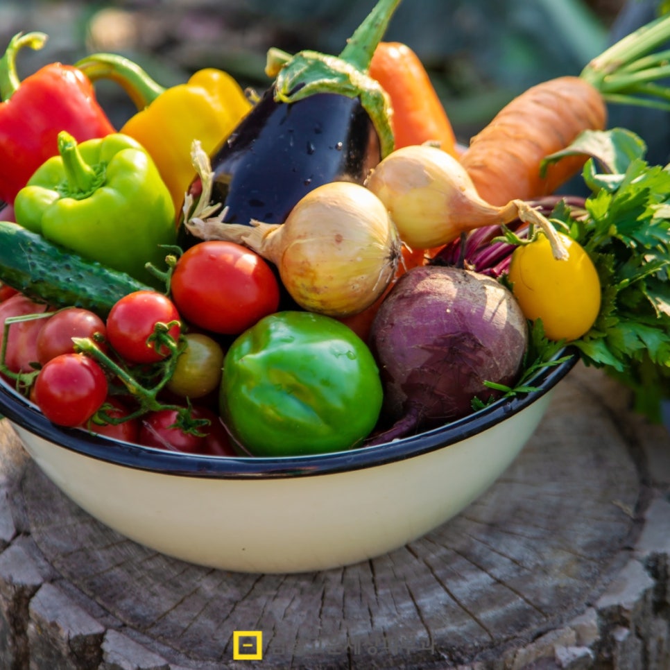 여드름, 단순한 뾰루지가 아닌 피부 질환 관련 이미지 8