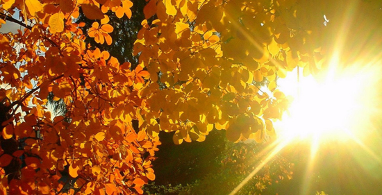 잠실고운세상피부과에서 알려드리는 가을 피부 관리 방법입니다! (잠실피부과추천/잠실역피부과) 관련 이미지 6